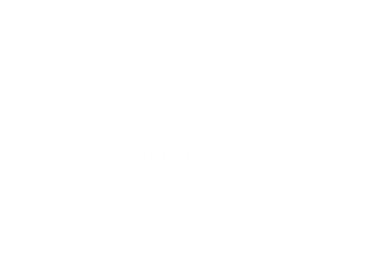 Tui Blue Logo